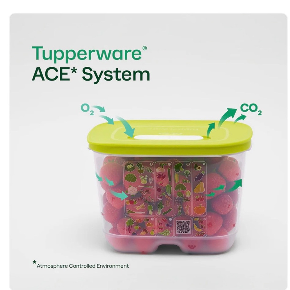 Tupperware Smart Fridge Storage Container - Picture 4 of 7